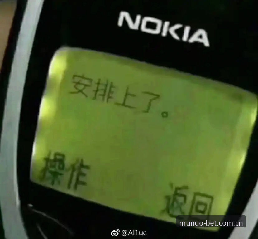资深用户分享：世界杯买球下载评测实战经验，从APP安装到投注全解析